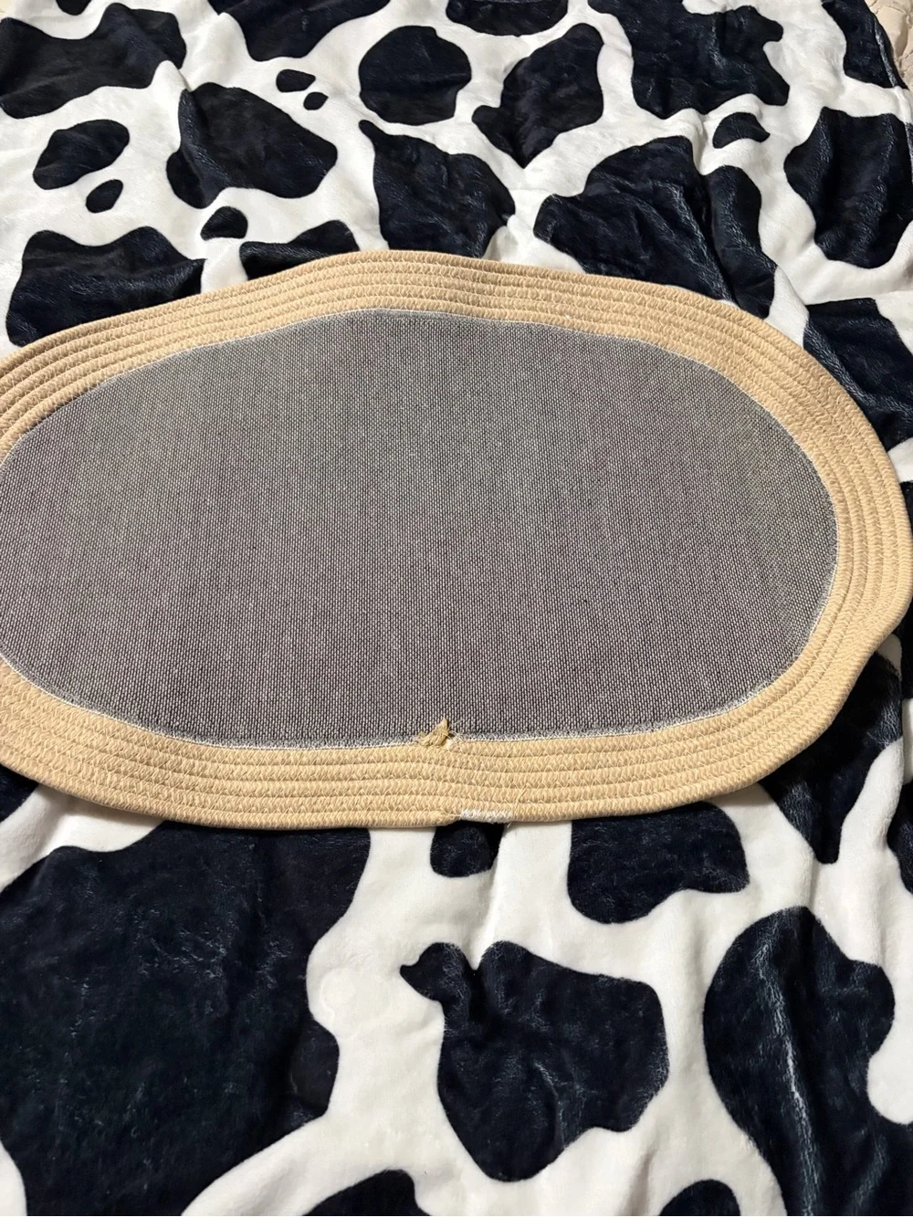 Dachshund Decorative Door Mat - Tan & Beige